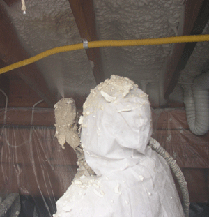 Austin TX crawl space insulation